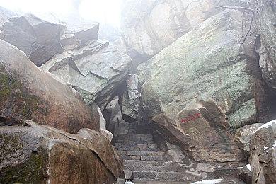 《生化危机9》主角将是里昂和格蕾丝·阿什克罗夫特